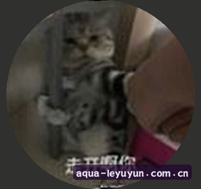 郑强